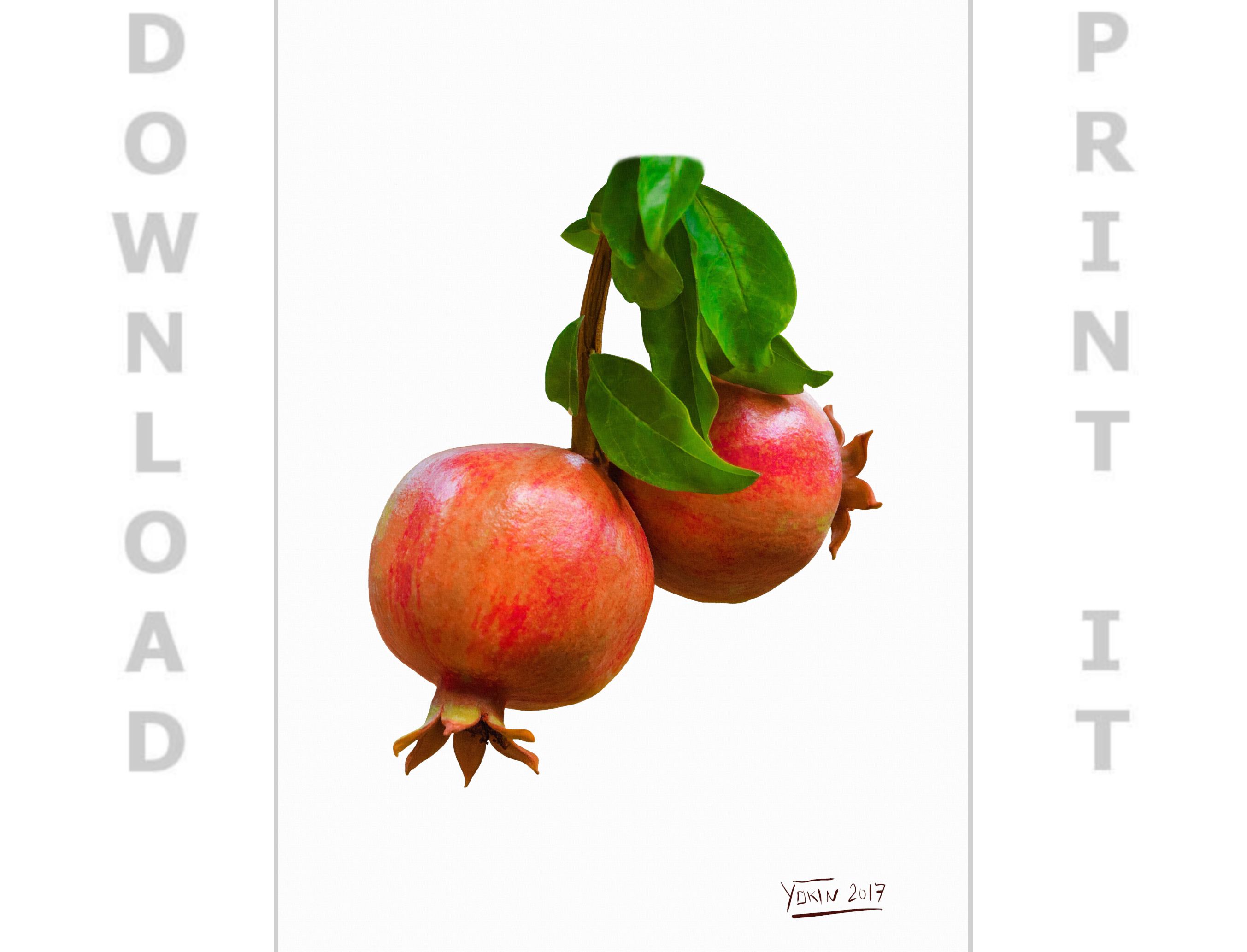 POMEGRANATE - Wall-Art-Decor by Yokin.