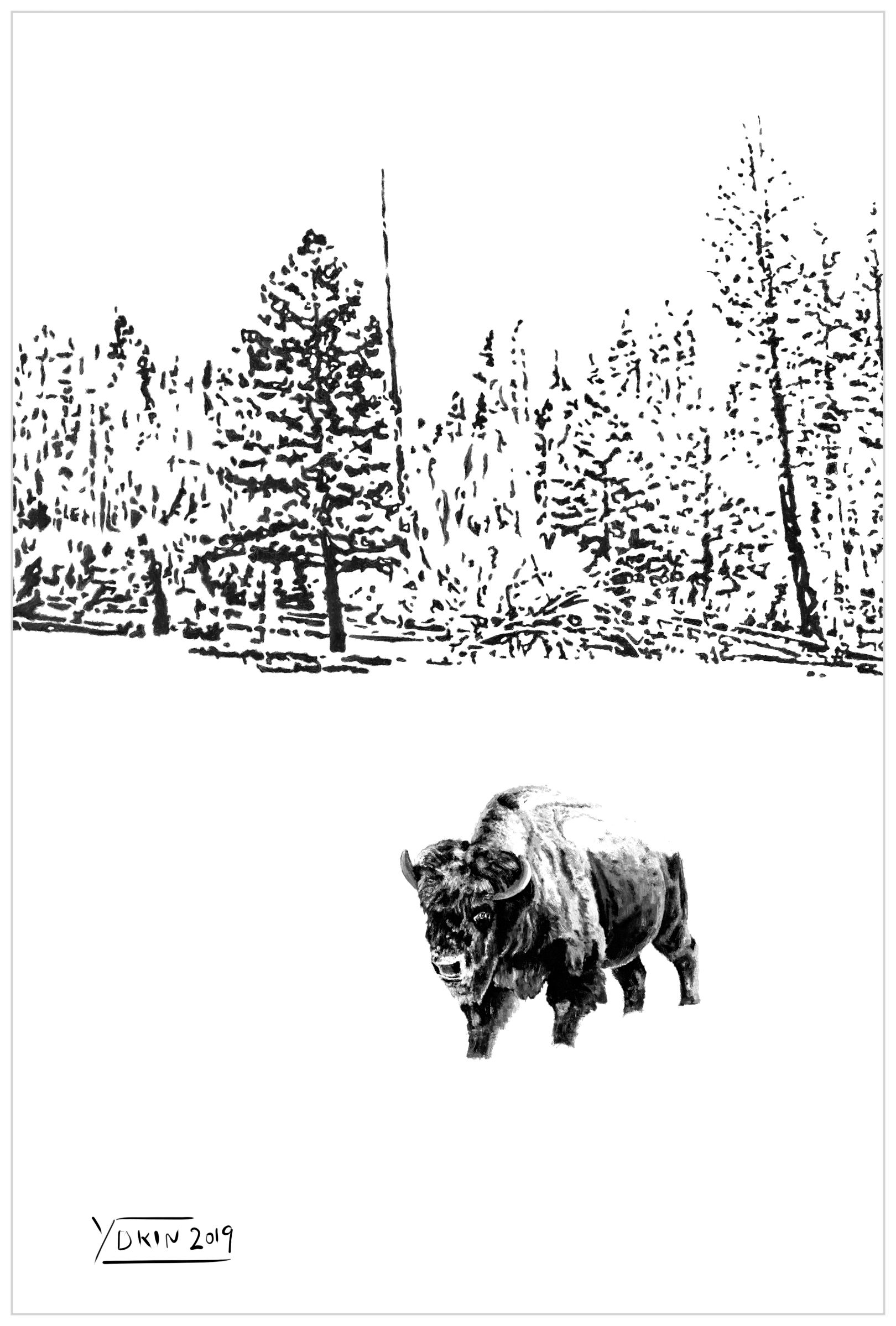 LONELY BISON - Illustration by Yokin.