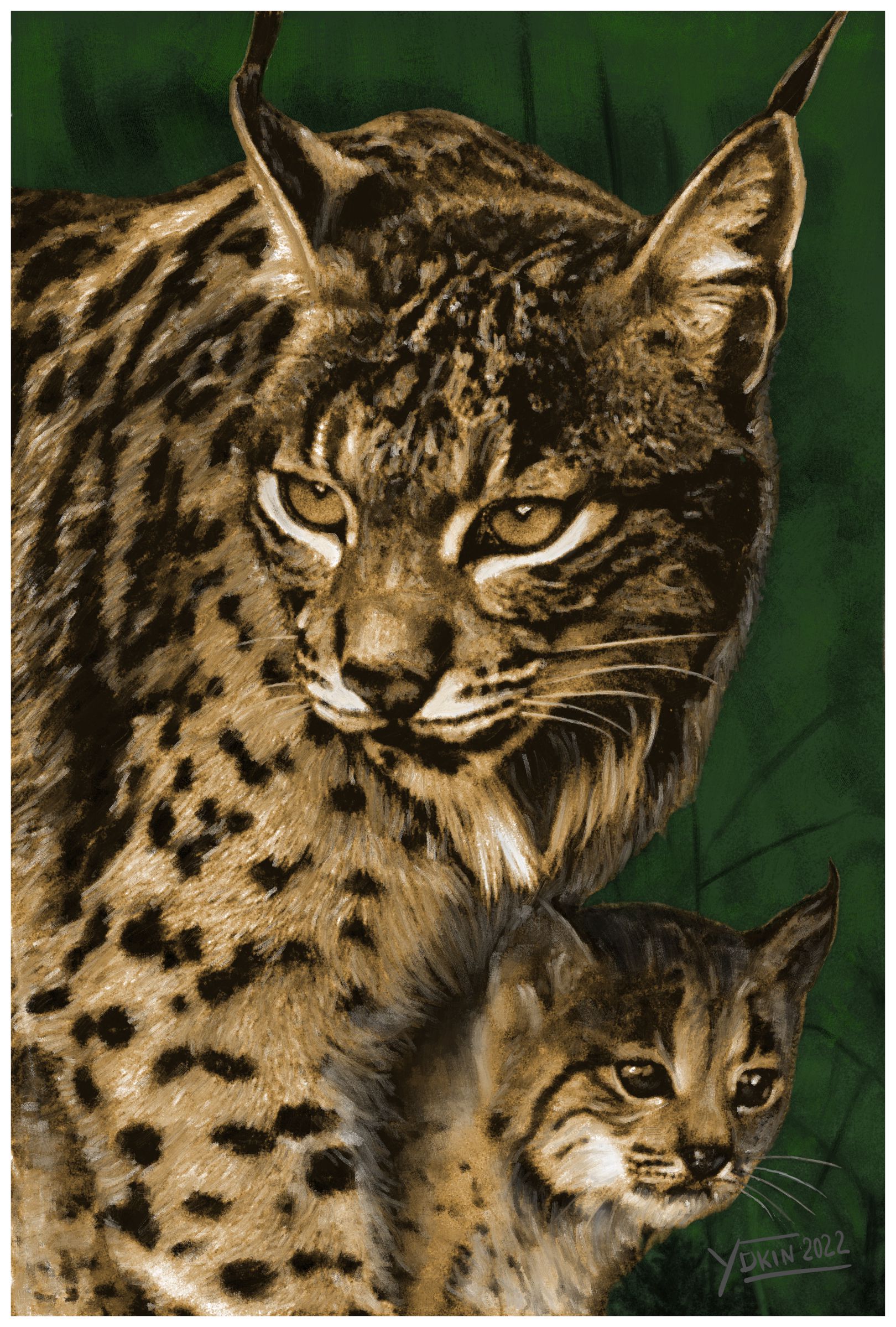 IBERIAN LYNX - Painting by Yokin.